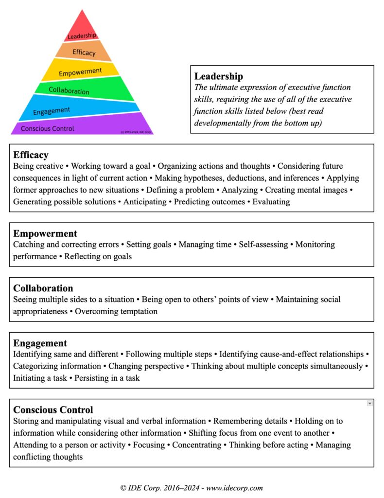 executive function categorized by life skills